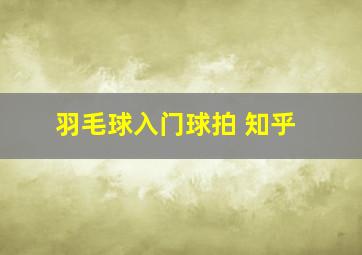 羽毛球入门球拍 知乎